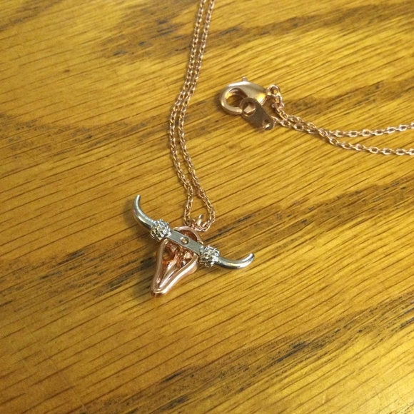 Cow skull necklace - Picture 2 of 3